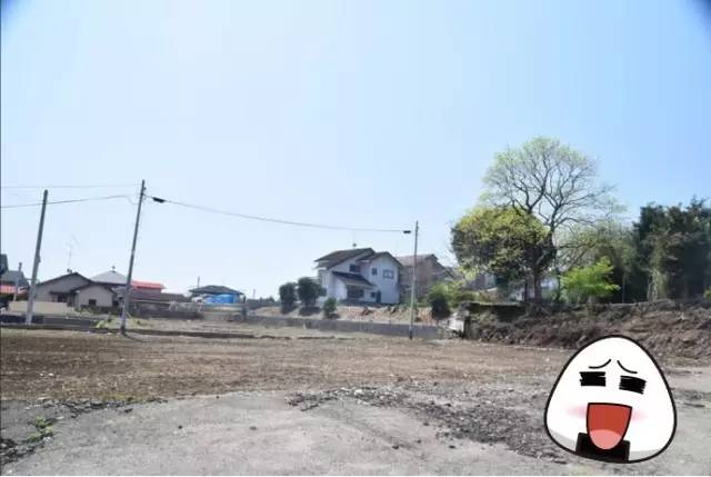 熊本县熊本熊,2019熊本熊到访城市