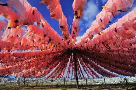 四川不可不去的十个景区,四川湿地风景区