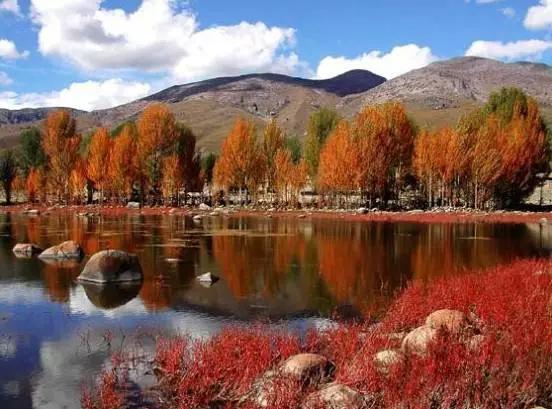 四川不可不去的十个景区,四川湿地风景区