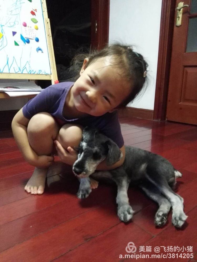 北京到贝加尔湖自驾游攻略,自驾游去贝加尔湖怎么走最好