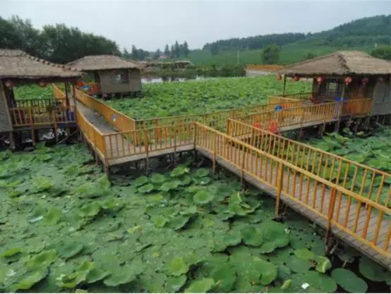 辽源的美味,一饱口福美食