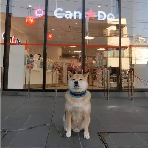 日本哪些东西便宜又好用,日本必买100元以内的东西