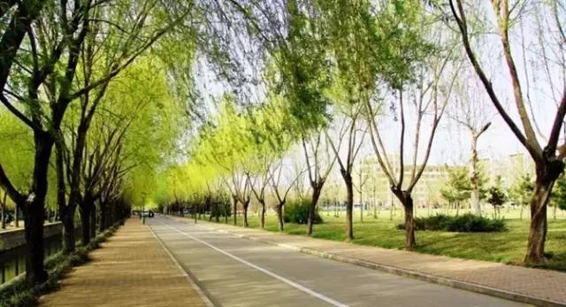 看到校园里陌生的异性同学狼狈淋雨，你会主动帮忙吗？