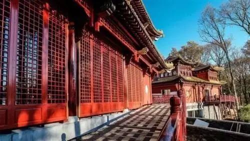 荷兰迎接中国大熊猫,大熊猫在国外有警车开道