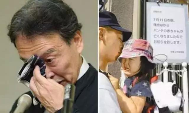 荷兰迎接中国大熊猫,大熊猫在国外有警车开道