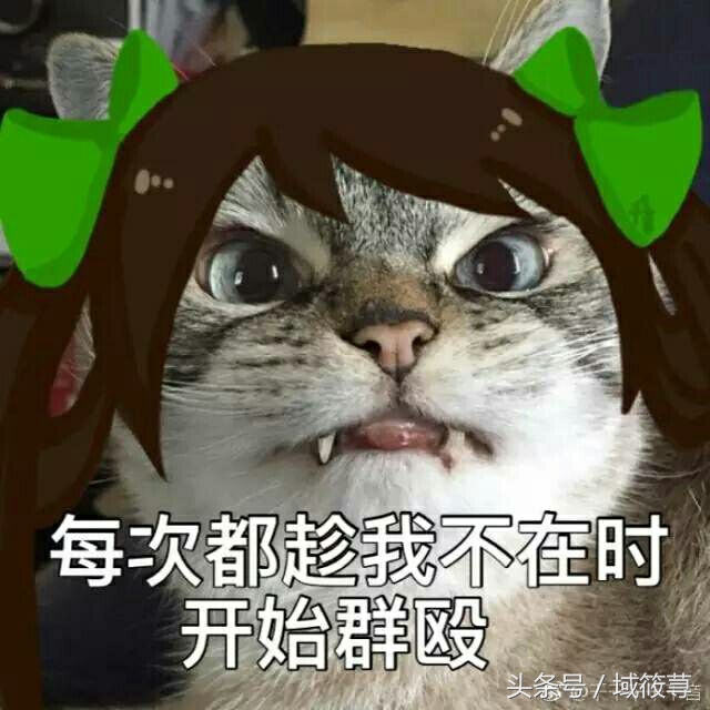 王者荣耀击败对手后怎么露表情包,王者荣耀当队友很强我躺赢表情包