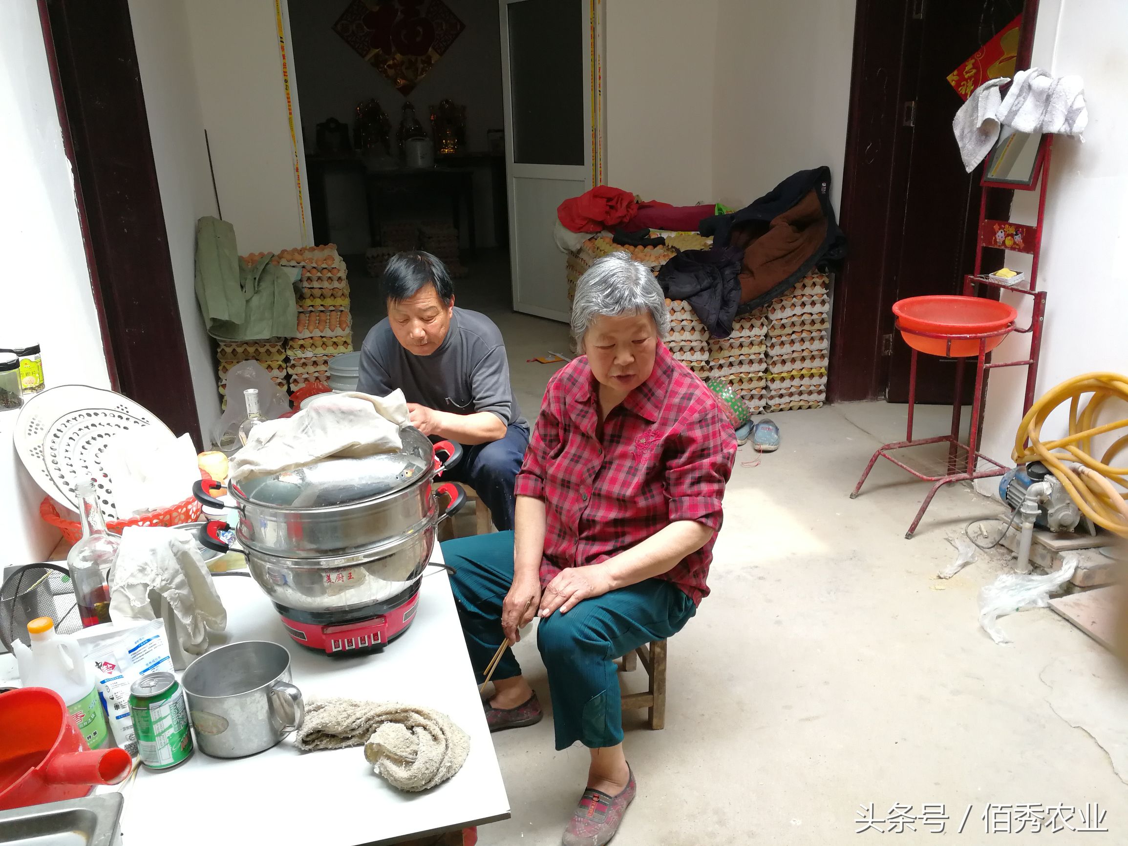 变蛋五毛钱,烧变蛋治拉肚子吗