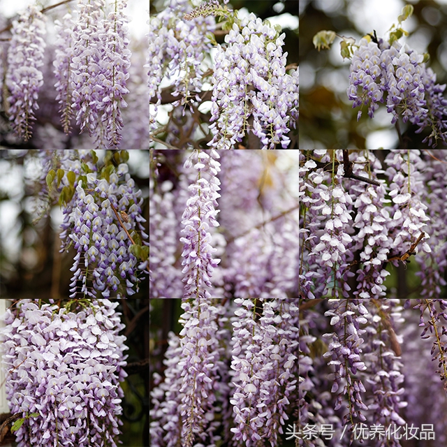 有诗和远方的地方,有诗和远方的故乡