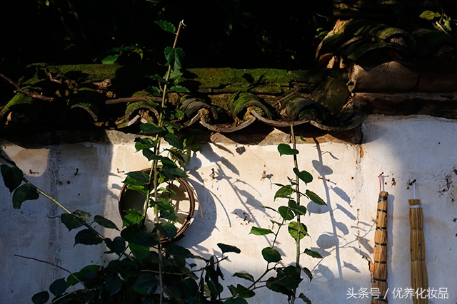 有诗和远方的地方,有诗和远方的故乡