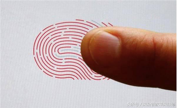 无敌寂寞啊!忠诚度苹果排NO.1