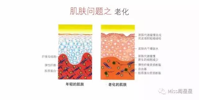 专家来告诉你美容仪真的管用吗,美容仪真的有用吗运用了哪些原理