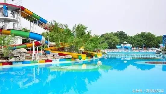 哈尔滨10条新消息,哈尔滨有什么好消息