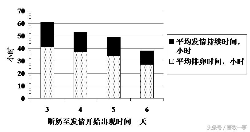 养猪怎样提高人工授精的成功率,养猪新模式猪舍建造