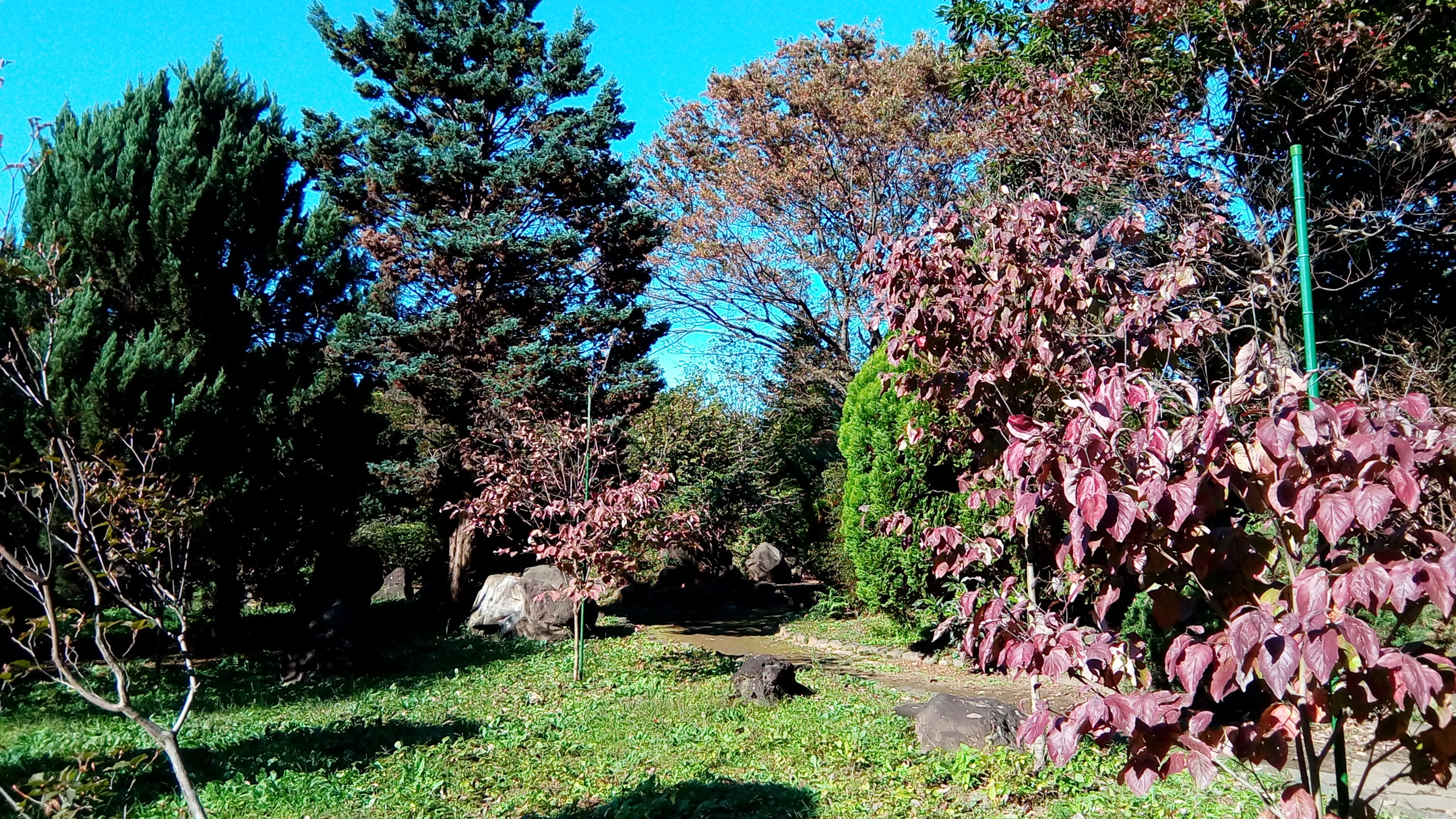华硕z500平板评测视频,华硕平板z8s评测