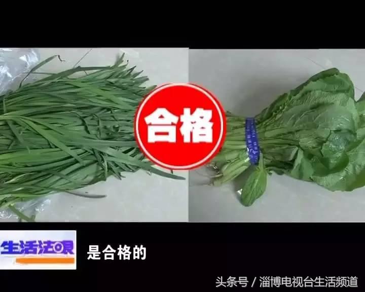 有些人吃了韭菜拉肚子咋回事,儿童吃韭菜上吐下泻