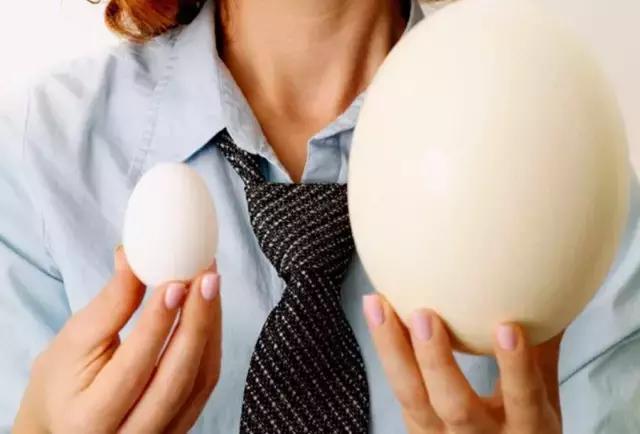 9种奇葩的动物蛋,这些奇葩的鸡蛋你见过吗