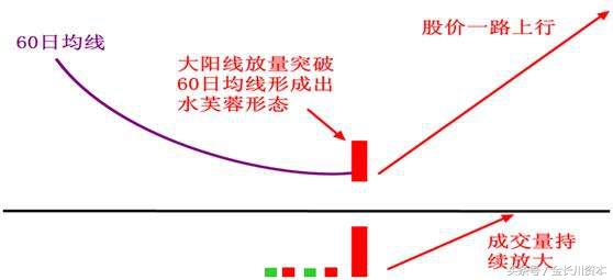 出水芙蓉股票教程完整版,出水芙蓉回调买入法