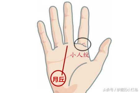 相术看人的智慧,相术看富贵