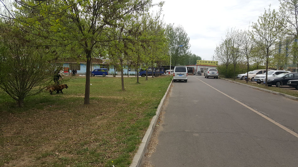 唐山市乐亭县大集,河北唐山乐亭大集