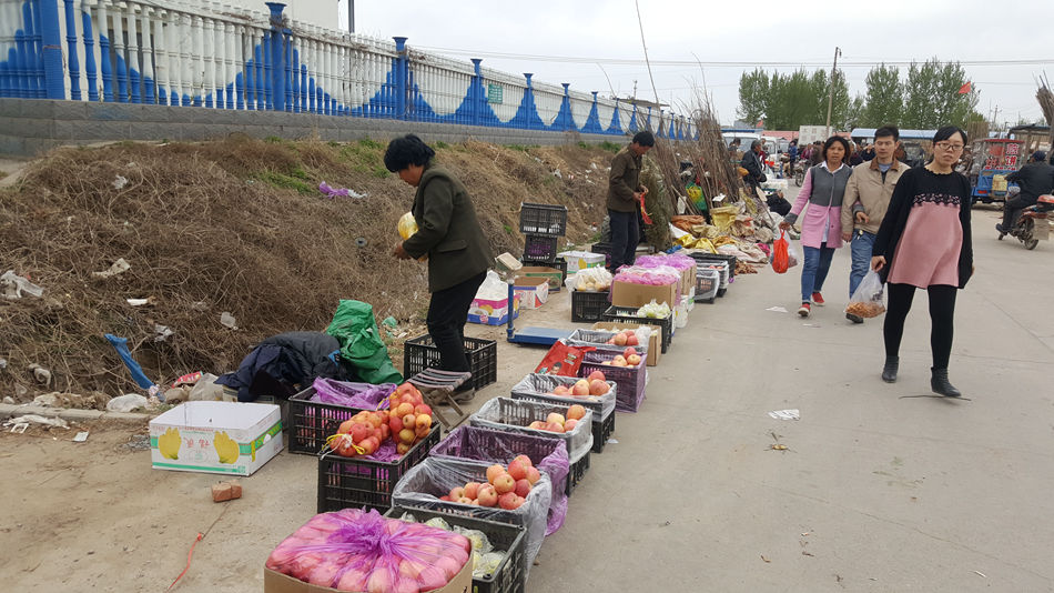 唐山市乐亭县大集,河北唐山乐亭大集