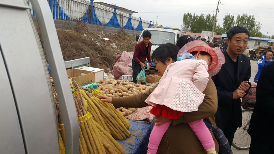 唐山市乐亭县大集,河北唐山乐亭大集