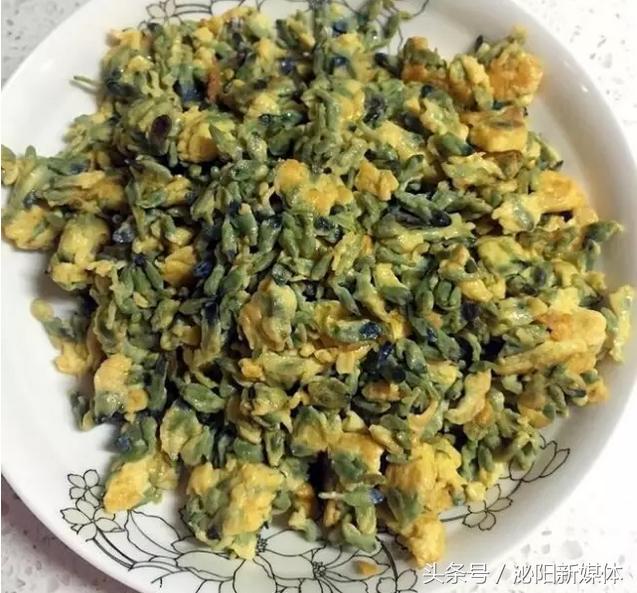 紫色藤花开,任丘紫藤花开