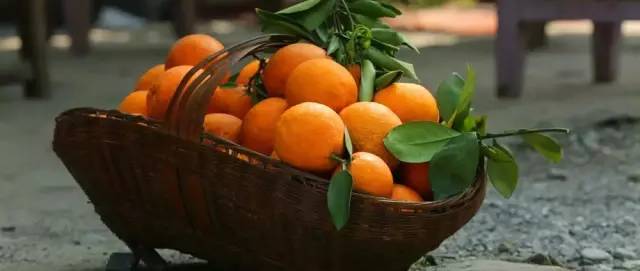 橙中贵族,美味之最:伦晚