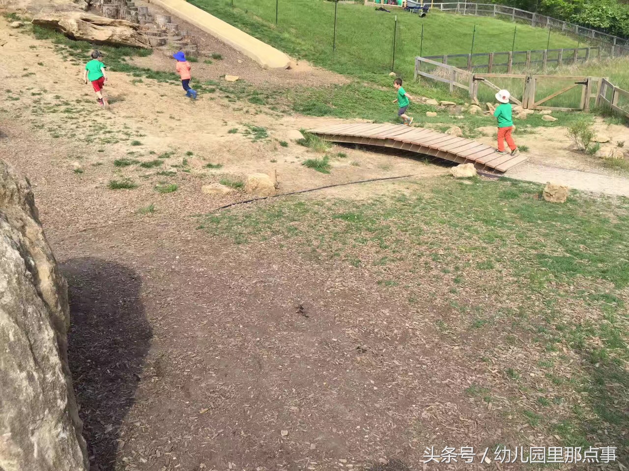 国外有名的自然生态幼儿园,国外的森林幼儿园