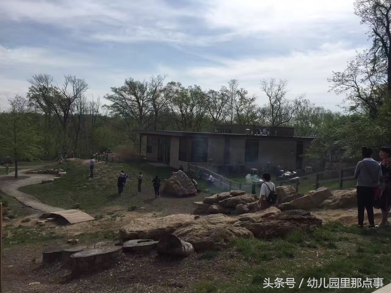 国外有名的自然生态幼儿园,国外的森林幼儿园