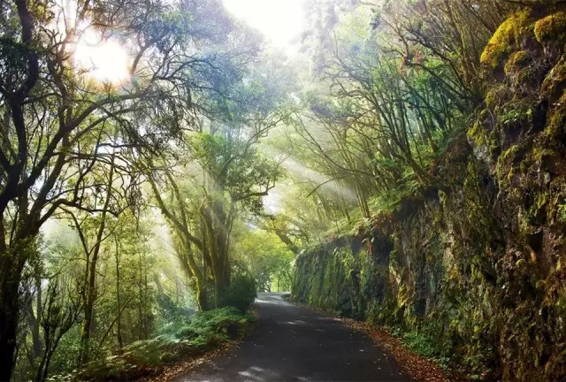 西班牙｜这个岛有什么魅力，引德国总理五次来此度假？