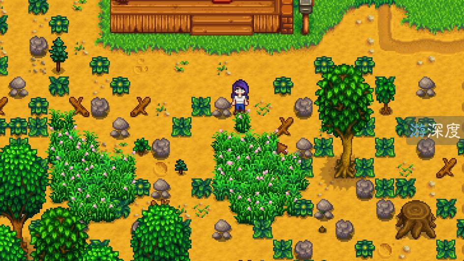 继《饥荒》之后,腾讯为什么选择一款农场经营游戏登陆TGP?