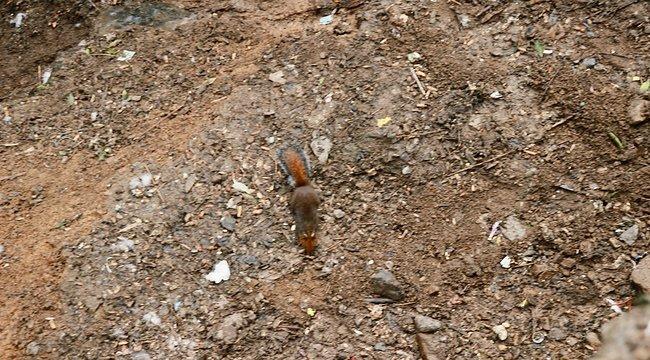 峨眉山一日观金顶日出吃住行攻略,峨眉山吃住行全攻略