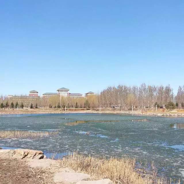 林志玲360无死角是真的美,全球最美360无死角的美女