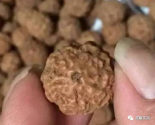 正品金刚和仿品金刚,变形金刚假的冒牌货