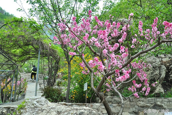 北京响水湖长城旅游攻略,北京怀柔响水湖长城旅游景点