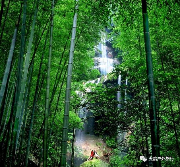 踏春出游来洛阳,踏春周末出游