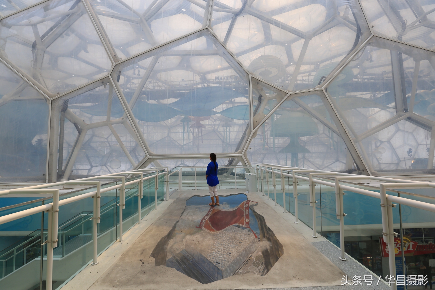 水立方国家游泳中心,北京水立方国家游泳中心管理中心