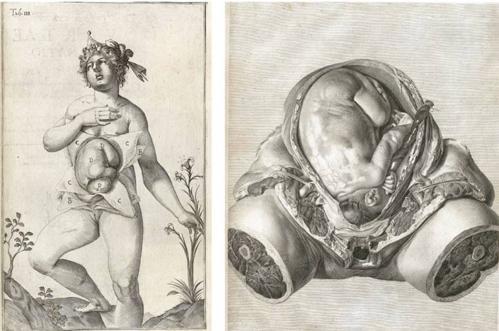 古今中外绘画欣赏,解剖全国绘画优秀作品