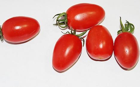 你吃到了哪些假瓜,真正千禧圣女果