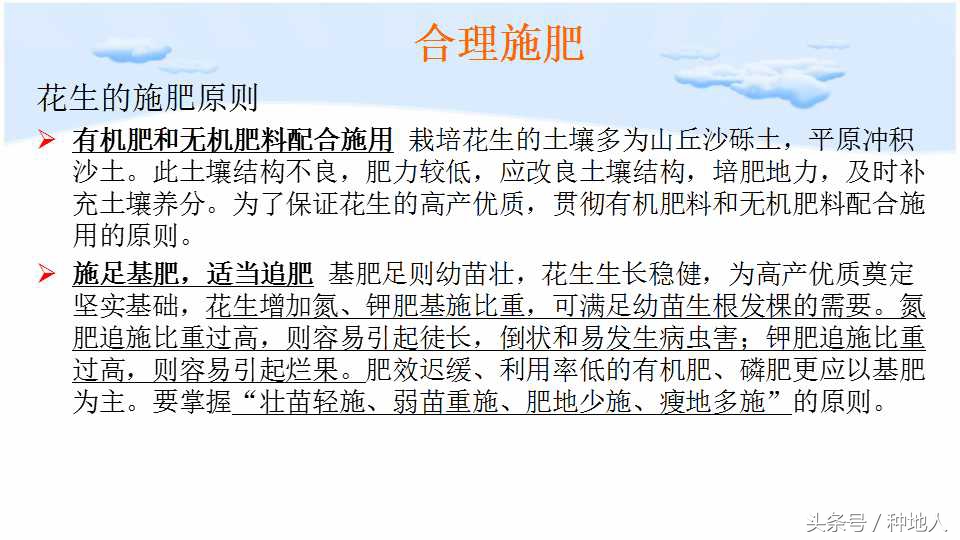 已经开始种花生了怎么种,马上要种花生了