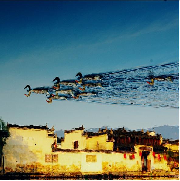 春季手机摄影大赛,摄影有哪些大赛