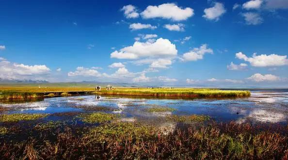 四川不可不去的十个景区,四川湿地风景区