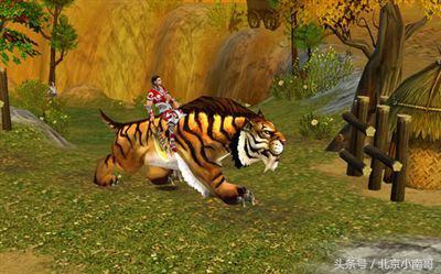细说那些经典火爆网游中的威猛老虎