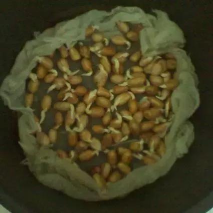 比牛奶鸡蛋还好的它稳血糖护心脏,牛奶对心脏和血管有利还是有害