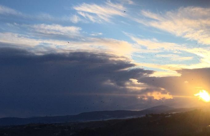 意大利旅行购物,意大利旅游购物必去的地方
