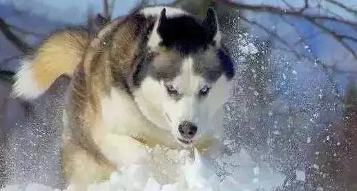 原谅我这一生不羁放纵完整版,原谅我这一生不羁放纵群星版