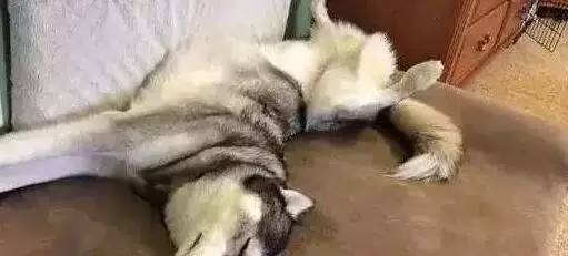 原谅我这一生不羁放纵完整版,原谅我这一生不羁放纵群星版