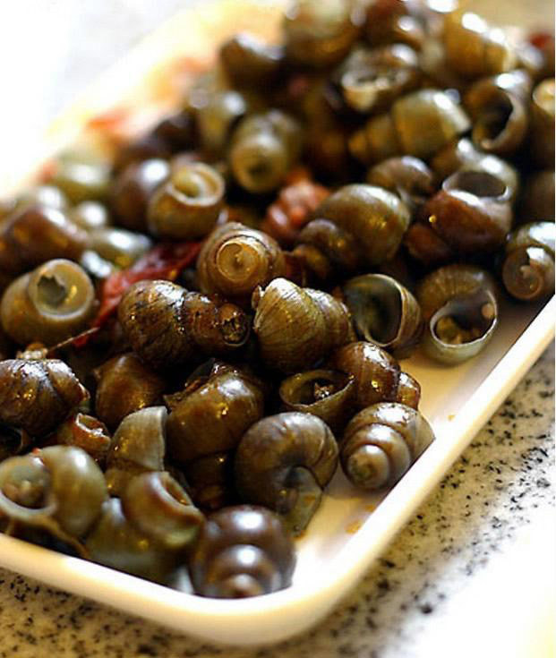 清明节祭祀踏青活动方案,清明节不仅是祭祀更是感恩