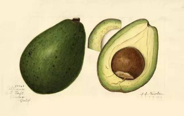 5折福利｜专治重度美颜相机依赖症的英国古方药妆