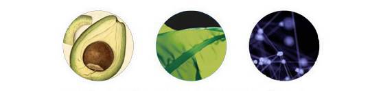 5折福利｜专治重度美颜相机依赖症的英国古方药妆